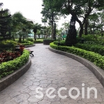 Hoa văn bề mặt Đá rối